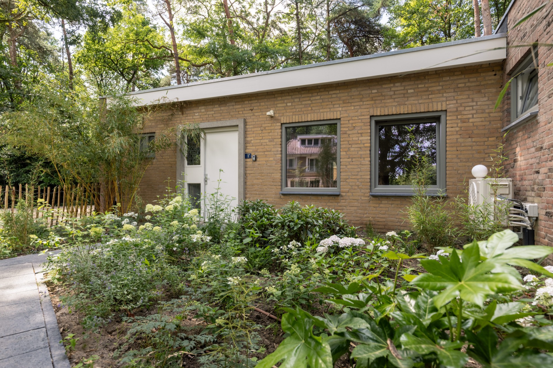 Het tuinpad langs de cottage, midden in het groen